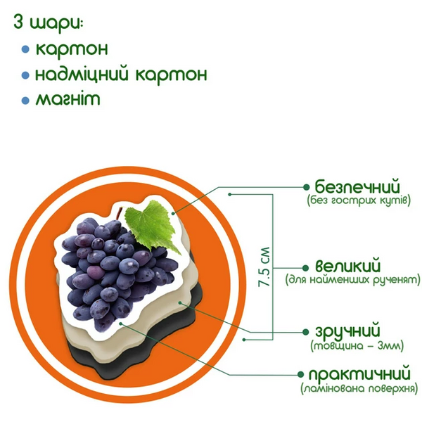 Набор магнитов Magdum 25 шт. фрукты, ягоды  132175  фото
