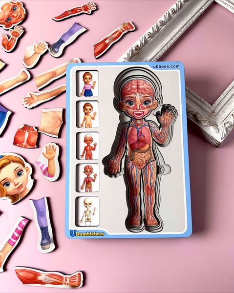 Сортер пазл - Анатомія людини – дівчинка ПСФ025 фото