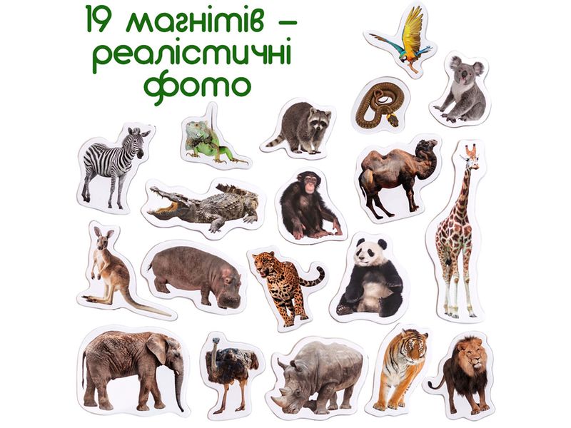 Набір магнитів тварини Африки 19 шт "Zoo" 132176  фото