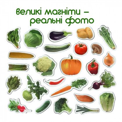 Набір магнітів "Magdum" овочі 25 шт 132174 фото