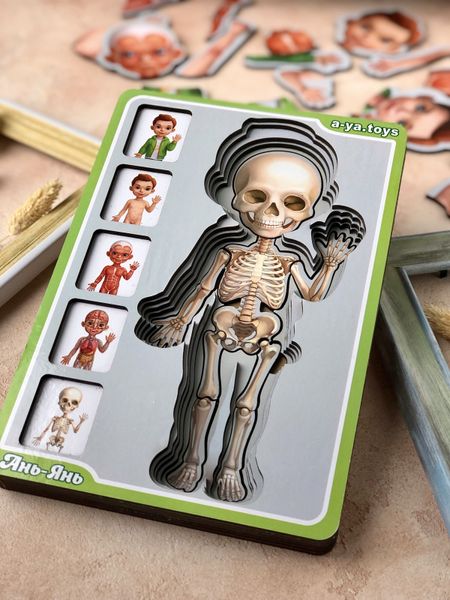 Сортер пазл - Анатомія людини – хлопчик ПСФ025 фото